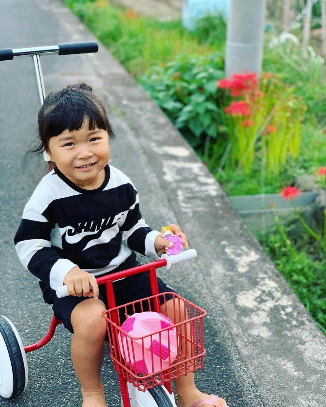 藤井惠のインスタグラム：「さくちゃんと三輪車☺️」