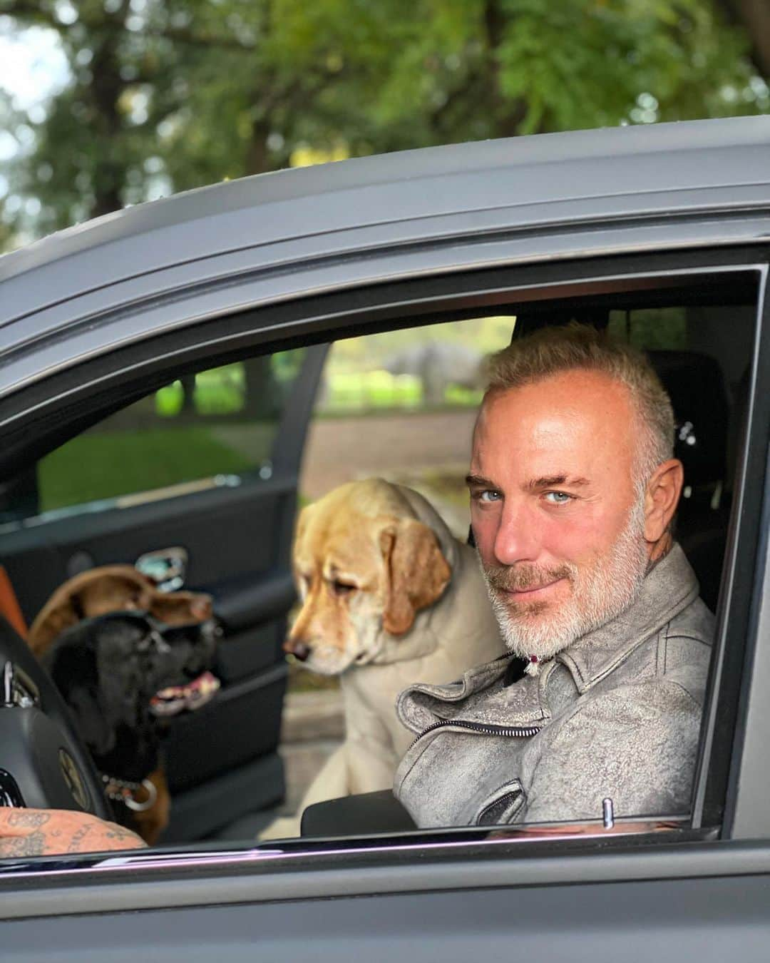 ジャンルカ・バッキさんのインスタグラム写真 - (ジャンルカ・バッキInstagram)「Going around town with my special crew... @olaf_elgordo was disappointed that his siblings joined us in the car 😂😂  @sharfonseca」10月3日 1時36分 - gianlucavacchi