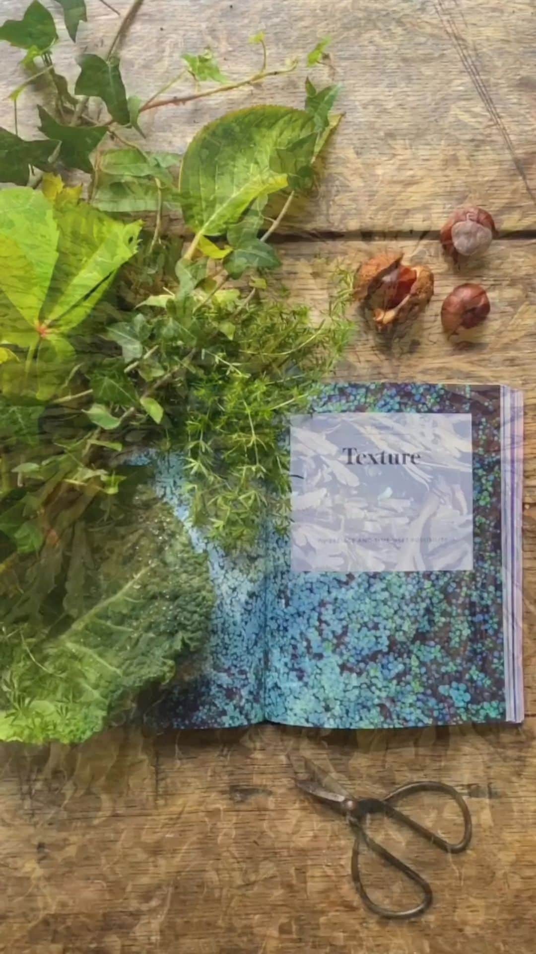 のインスタグラム：「📘...( sound on ) I love exploring texture in sound as well as objects...🌿💦🔊🎵 ( See my Stories for details of my Live demonstration from the ‘Texture’ chapter of my new book happening on Sunday at 12:30 GMT ) #consciouscreativity #cctheworkbook @consciouscreativity @quartocreates @leapingharepress」