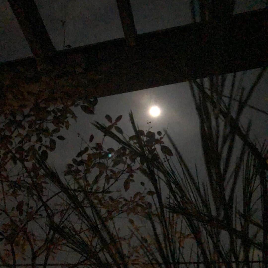 常盤貴子さんのインスタグラム写真 - (常盤貴子Instagram)「月が沁みる。  整いました。 色々と。  ありがとう。」10月3日 3時06分 - takakotokiwa_official