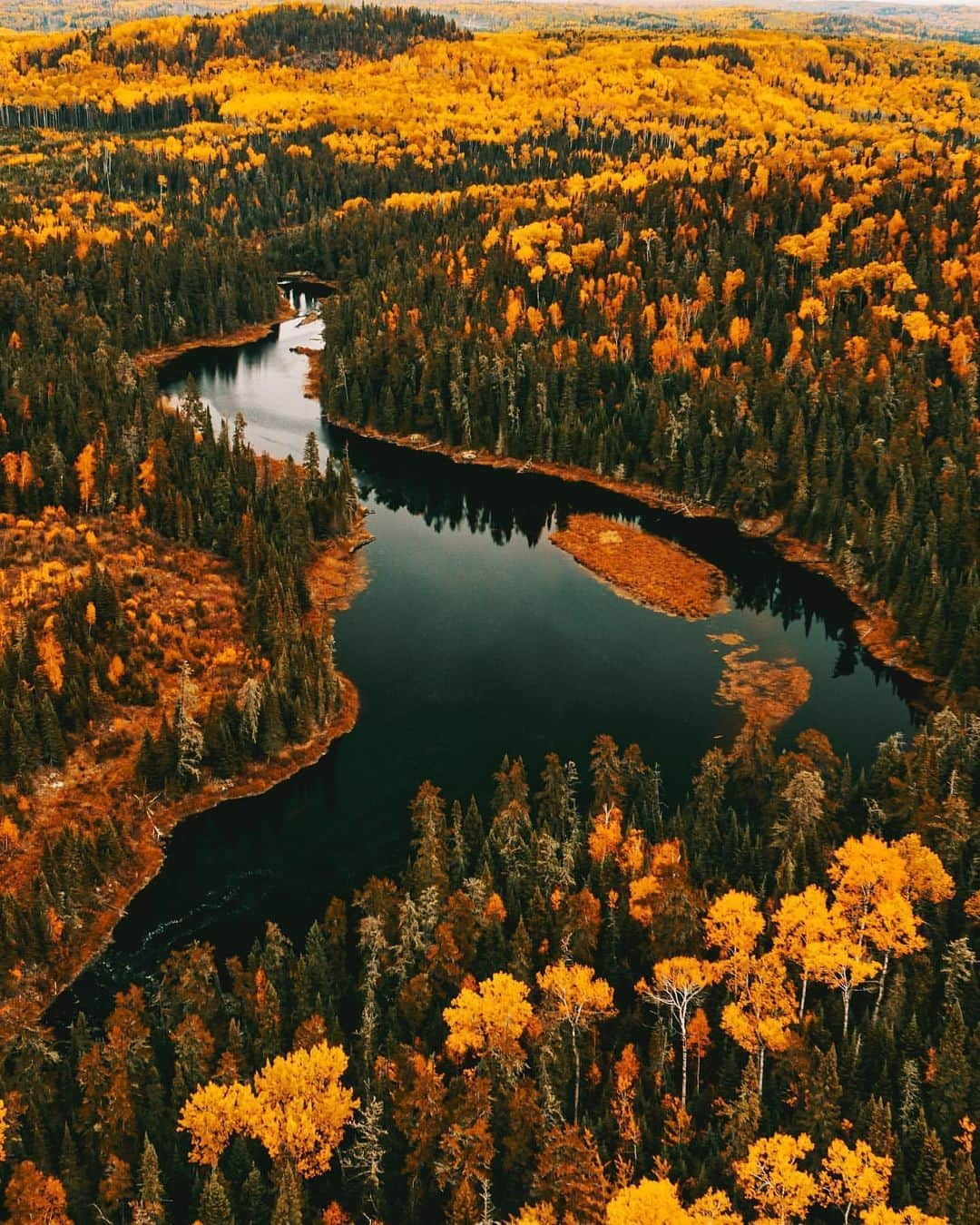 PolarProさんのインスタグラム写真 - (PolarProInstagram)「Photo of the Day: Show of hands 👋Who’s ready for fall foliage? 🍁  Shot on #DJI #Mavic2Pro #CinemaSeries 📸: @dmangilbert」10月3日 3時18分 - polarpro