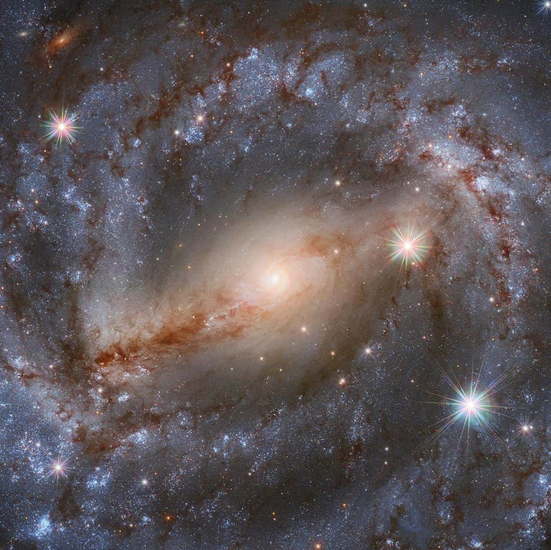 NASAさんのインスタグラム写真 - (NASAInstagram)「Galactic Glamour Shot! 😍⁣ ⁣ This spiral galaxy in the constellation of the Wolf sparkles from 60 million light-years away. ⁣ ⁣ There was recently a supernova in the galaxy. This supernova (2017cbv) was a specific type, in which a white dwarf steals so much mass from a companion star that it becomes unstable and explodes, releasing enough energy to light up that part of the galaxy.⁣ ⁣ Credit: @EuropeanSpaceAgency/Hubble & NASA, A. Riess et al.; acknowledgment: Mahdi Zamani⁣ ⁣ #NASA #Hubble #Glamour #Galaxy #TheWolf #Constellation ⁣」10月3日 3時45分 - nasa