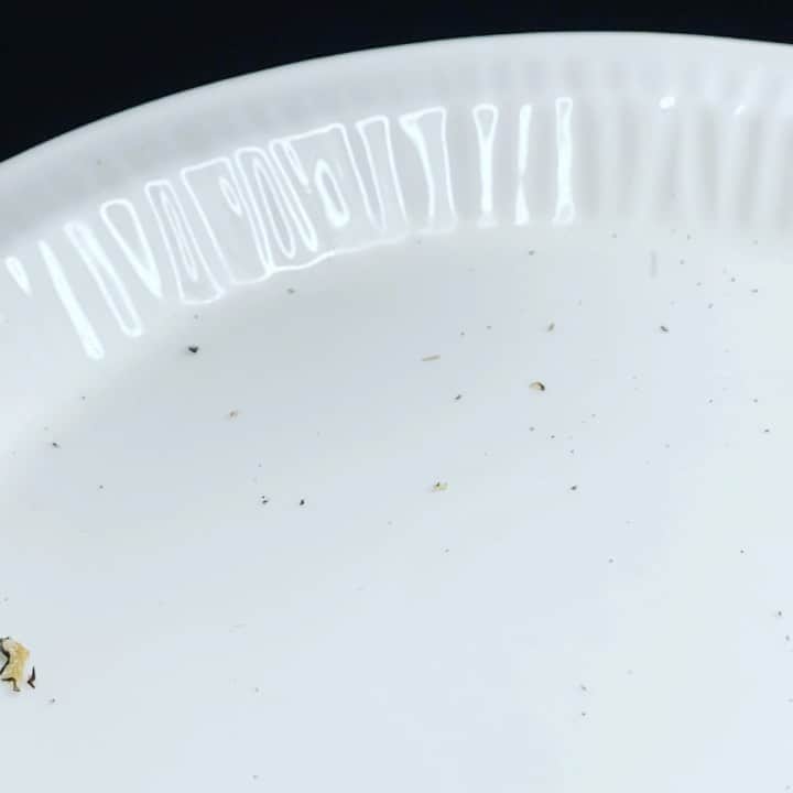 ケリスのインスタグラム：「Truffles are the pearls of the earth. They are rare and expensive because it is near impossible to cultivate or farm them . To recreate the environment they need to thrive is near impossible. I'm releasing 2 Gold mine boxes today one has truffle ghee (clarified butter) the other has truffle salt . These are the LUX GOLD MINE BOXES . I only made a handful of each . They go live at 3pm pst today , treat you the best . Bountyandfull.com」