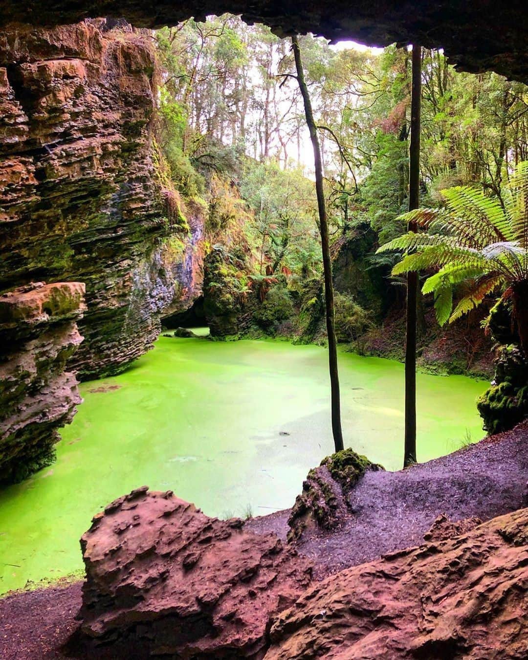 Australiaさんのインスタグラム写真 - (AustraliaInstagram)「A shade of green that simply has to be seen 💚 @Tasmania's glowing #TrowuttaArch, captured here by @_sammaguire_, looks like something straight out of a fairytale. This natural attraction is located in the Trowutta Caves State Reserve in @visitcradlecoast; you’ll need to walk through lush rainforest for about 30 minutes to find this hidden gem, and we can assure you it’s well worth the trek! It’s a must-see stop on the #TarkineDrive route, which includes plenty of other dramatic landscapes too. Sounds like the perfect reason to start planning a Tassie #roadtrip for when travel permits 😉 #seeaustralia #discovertasmania #nature #CradleCoast」10月3日 5時00分 - australia