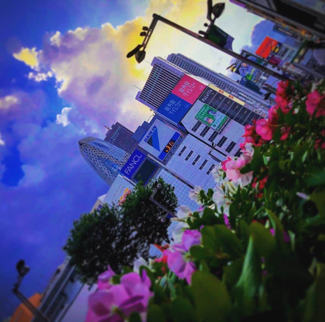 羽原信義さんのインスタグラム写真 - (羽原信義Instagram)「夕焼け前の新宿。」10月3日 5時34分 - nobuyoshi_habara
