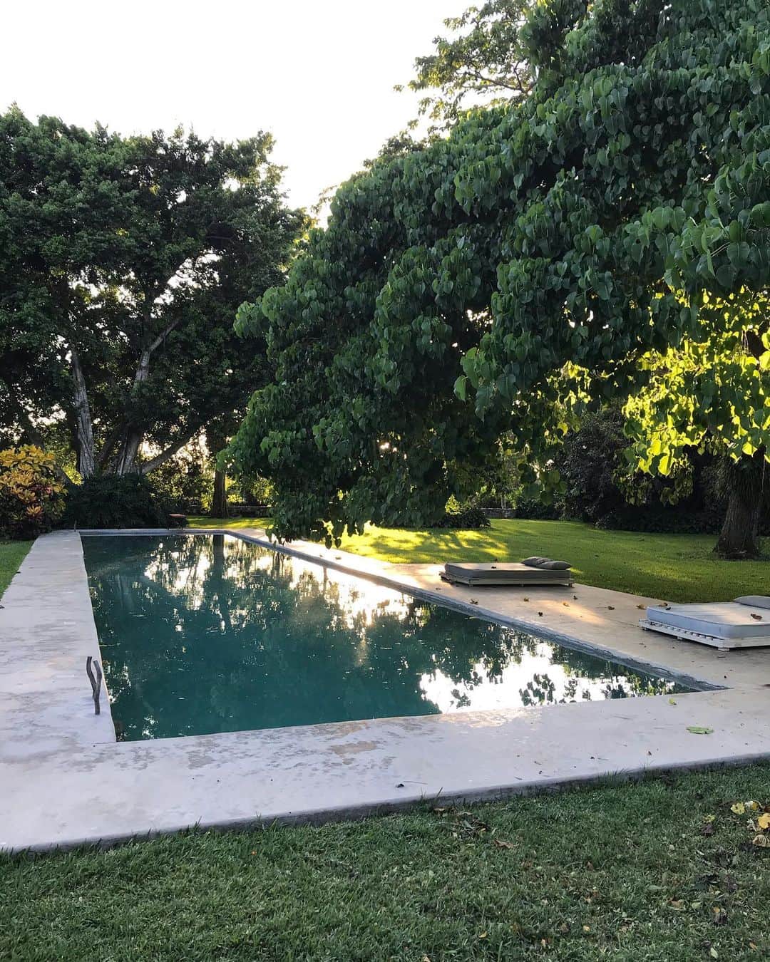 トームさんのインスタグラム写真 - (トームInstagram)「2 pools, 1 coconut (grove) @maisoncouturier」10月3日 5時36分 - tomenyc