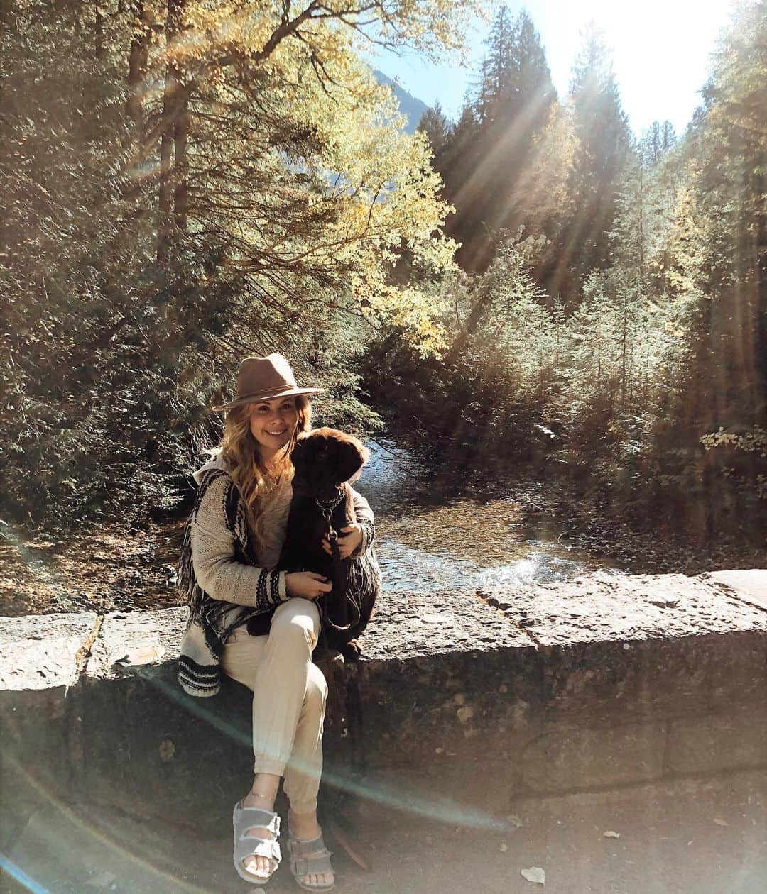 タラ・リピンスキーのインスタグラム：「Sully’s first October. 🍁 He got a lot of attention from the people he met. And I realize I am now that person who pretty much eats up any questions about him. #pleaseaskmeaboutmydog #dogmom #flatcoatedretriever」