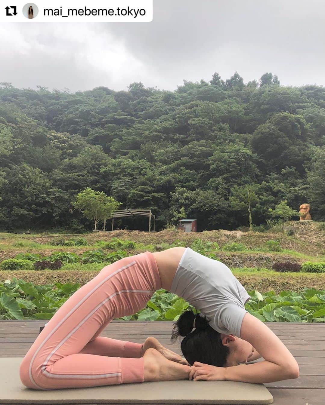 ヒデトレのグルメインスタ