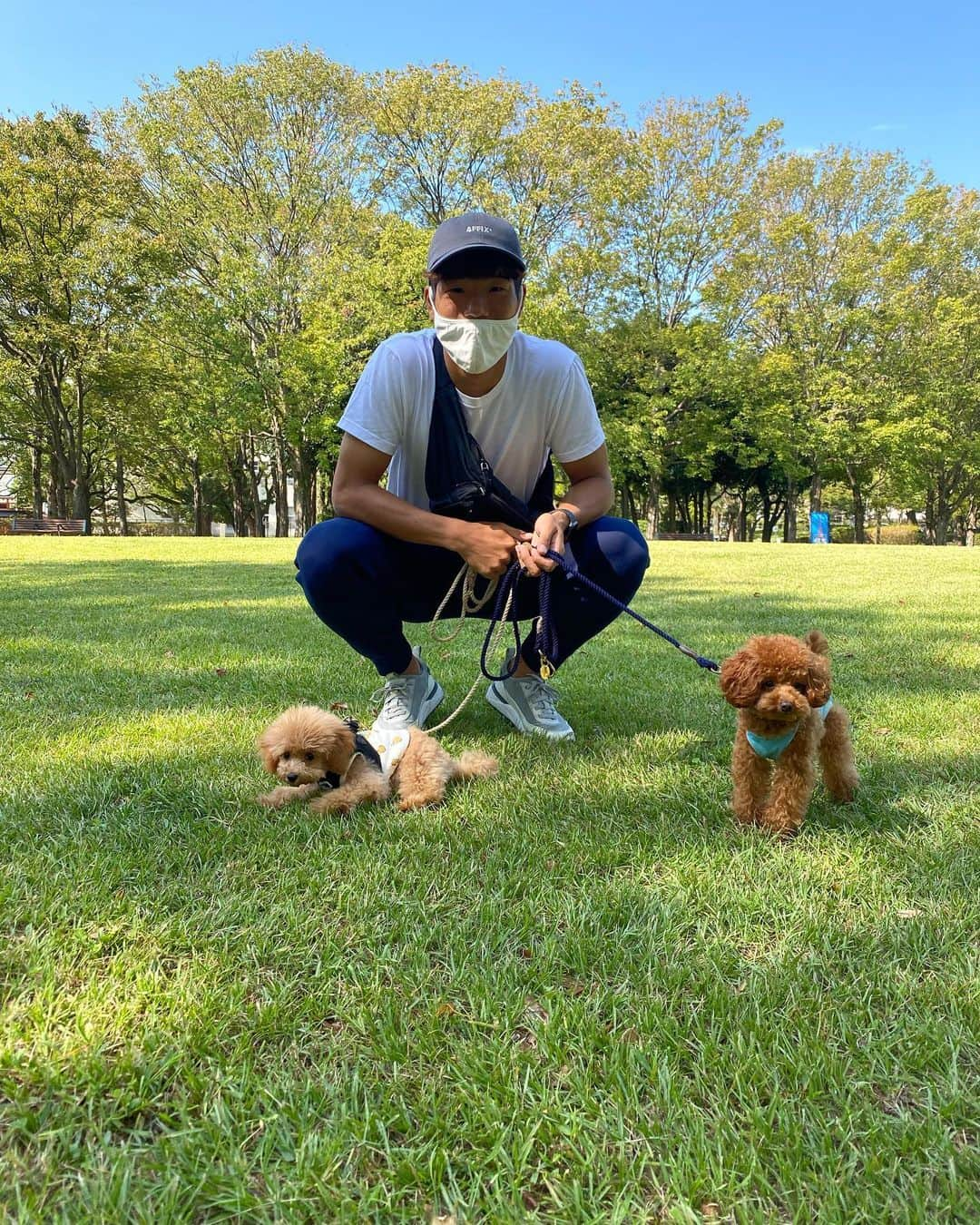 前寛之さんのインスタグラム写真 - (前寛之Instagram)「教えて頂いた東公園に🌿  #トイプー3匹🐶🐶🐶」10月3日 17時20分 - mae.hiroyuki.16