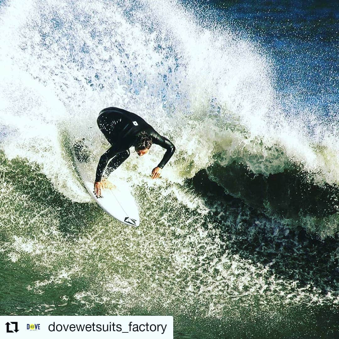 信國太志のインスタグラム：「#Repost @dovewetsuits_factory • • • • • • DOVEライダー 脇田泰地　@taichiwakita_mobb   MAD TAILAR @taishinobukuni design オプションで選べるBackにDマークはcoolでオススメです。  #Repost @taichiwakita_mobb ・・・ @volcomjapan #volcomjapan @dhdsurfjapan @dovewetsuits_factory 📷 @robiruffy_t @oneworld_surfshop @hiroyukihamano」