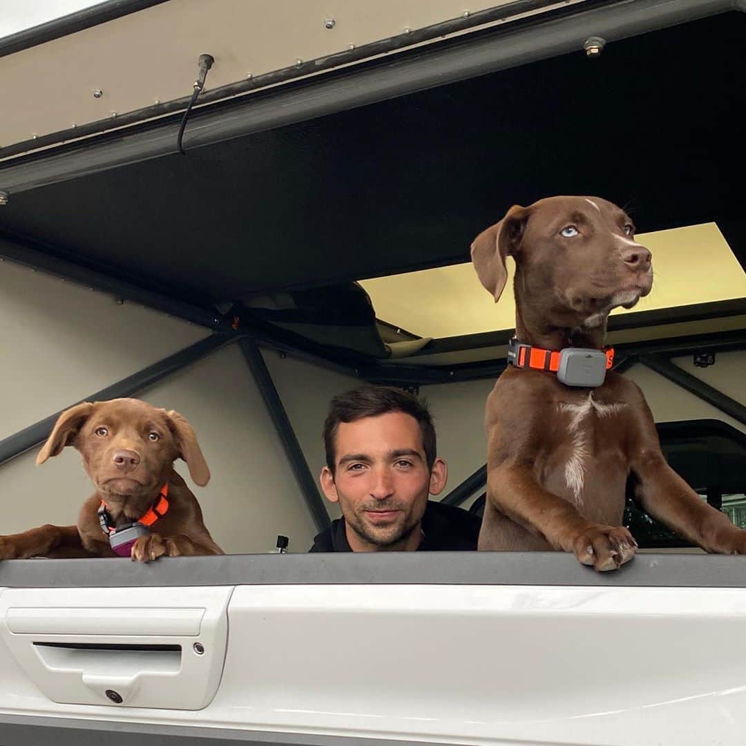 ボビー・ブラウンのインスタグラム：「A boy. A dog and a truck #wonderlust @5dukes #pippa #sundae #myheartbestill」