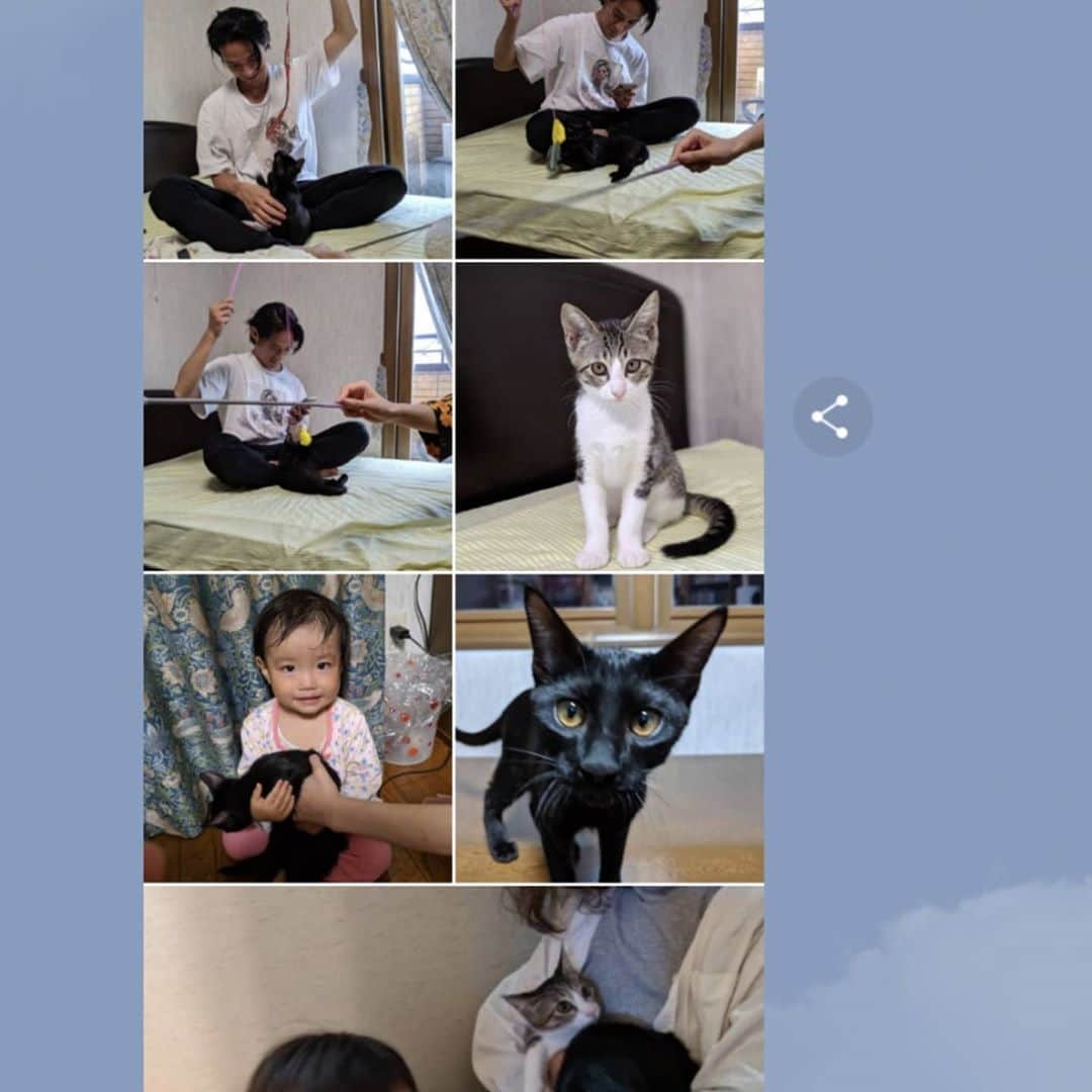 久保裕丈さんのインスタグラム写真 - (久保裕丈Instagram)「最近は投稿はすっかりご無沙汰しておりますが。 実家の猫たちがお家に来てから一年ということで、家族LINEに大量の写真が送られてきます笑　せっかくなので投稿。  姪っ子の子守もしてくれるいい子たち☺️」10月3日 9時15分 - hirotakekubo