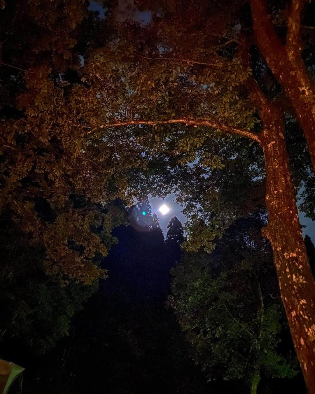 渡辺由布子さんのインスタグラム写真 - (渡辺由布子Instagram)「🌕  Fullmoon Night  京都の川床で、 チューハイ片手に愛でた月も見事だったけれど、 キャンプ場の暗闇の中で観た満月は格別だった。  今宵も月がきれいだ。  #中秋の名月 #iphone11pro  #HelloOctober   📍 #KAMOGAWA #KYOTO #🇯🇵」10月3日 9時30分 - watanabe_yuko