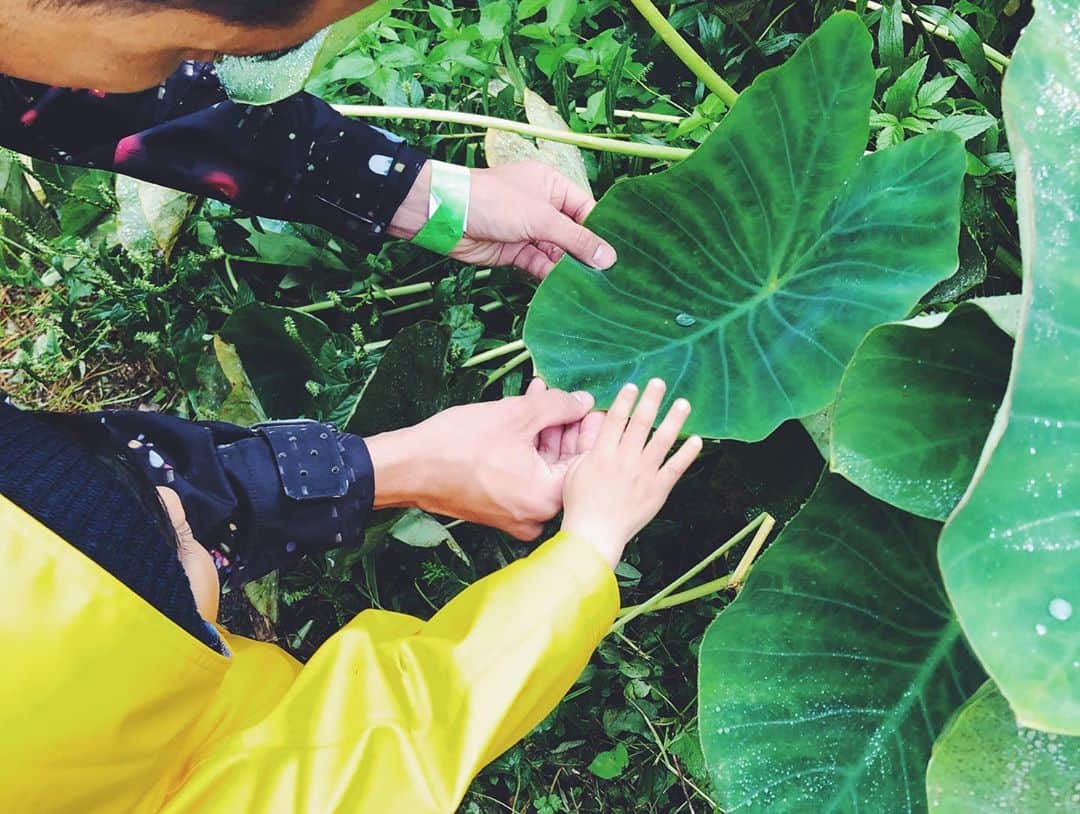 尾形沙耶香さんのインスタグラム写真 - (尾形沙耶香Instagram)「#familyweekend   #農園フェス」10月3日 9時52分 - sayakaogata