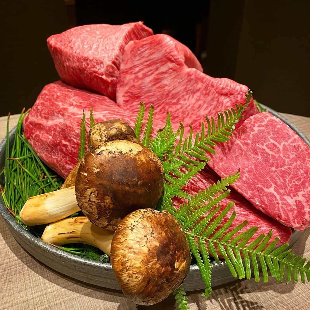 東京肉レポートさんのインスタグラム写真 - (東京肉レポートInstagram)「西麻布の「うし松」で松茸を合わせた季節限定のコース！プレゼンテーションが綺麗だから否応にも期待が高まります！個人的には松茸の経験値は全然高くないけど、ワンパターンになりがちな焼肉で季節感があるメニューは大好きです！  価格帯： 18,000円〜23,000円 オススメメニュー：カツサンド、ハラミ、熟成タン塩  “Ushimatsu” offers Wagyu x Matsutake mushroom course for a limited time only. The mariage reminds us of Wagyu as a ingredient especially makes good match with Japanese cuisine !  #うし松 #西麻布 #西麻布グルメ #肉割烹 #焼肉 #松茸 #ユッケ #すき焼き #肉 #和牛 #牛 #グルメ #東京肉レポート #肉レポ #ushimatsu #nishiazabu #hamburger #yakiniku #wagyu #beef #steak #instafood #food #foodie #barbecue #bbq #tokyo #tokyo_wagyu_report」10月3日 9時58分 - tokyo_wagyu_report