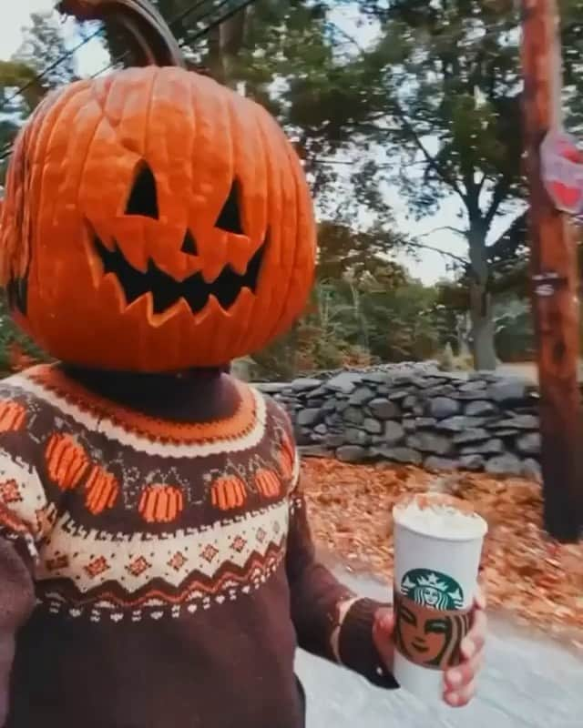 ザッカリー・リーヴァイのインスタグラム：「Hands down one the greatest things I’ve ever seen on the internet. Happy Fall, y’all. 🍂😘」