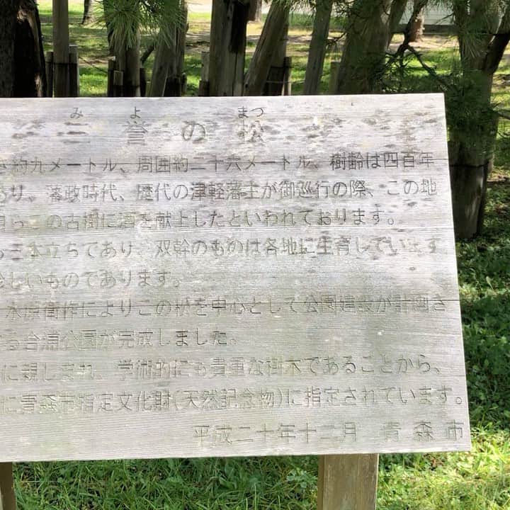 藤田琢己のインスタグラム