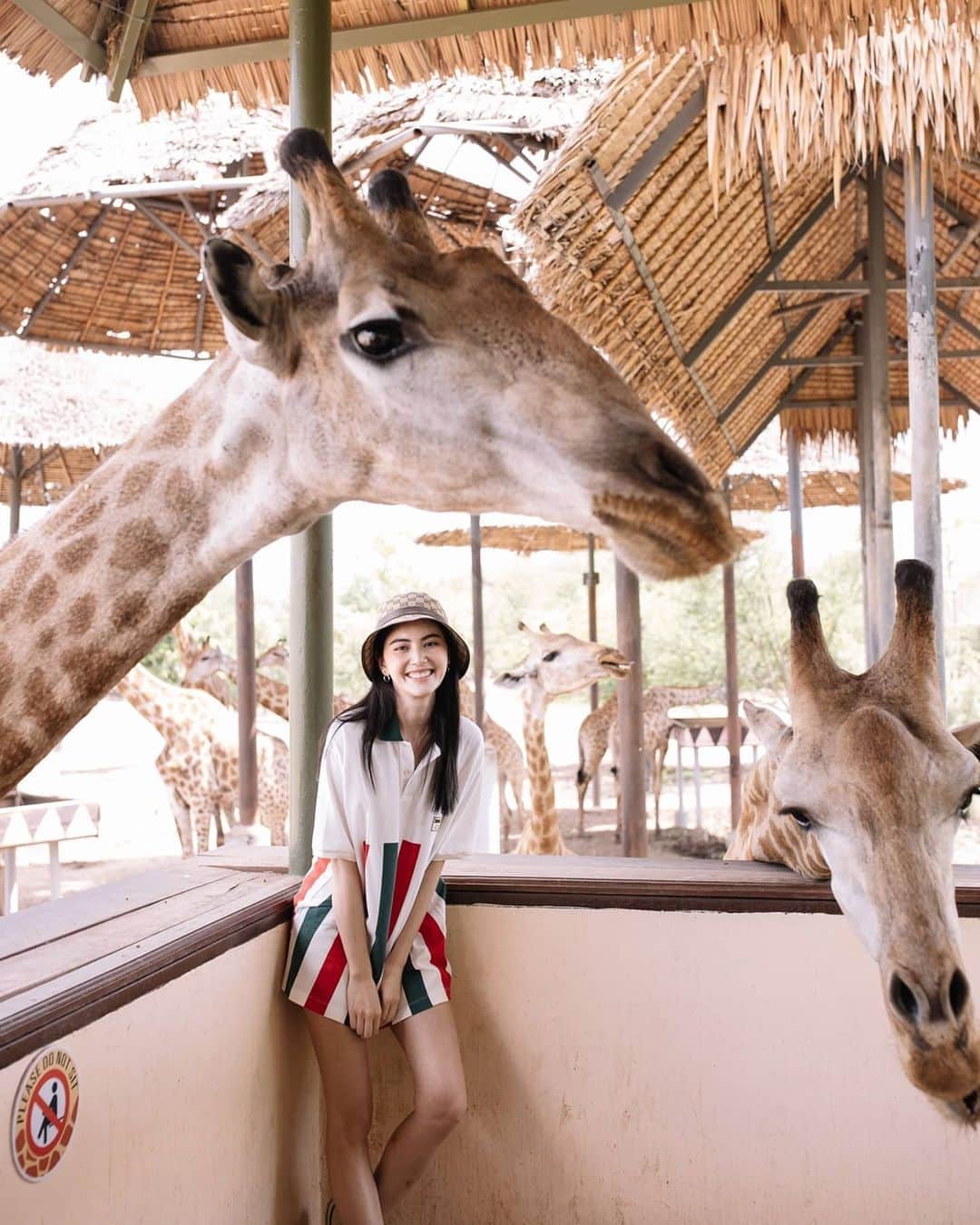 マイ・ダーウィカーのインスタグラム：「สนุกสนาน 🐬🦩🦒🐒🦓✨☁️💕 #ดาวินักท่องเที่ยว ปล.รูปท้ายๆจะดูรักมากไปหน่อยนะคะ😂」