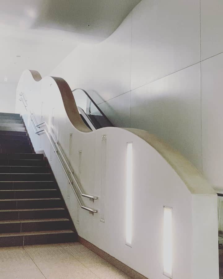 宮本侑芽のインスタグラム：「.  ⚠️動画酔いしちゃう方はごめんなさい。 無理して見ないように...！  この間#黒川紀章 さん設計の #国立新美術館 に行ってきました。 大好きなんだ〜  地方で行ったことない！って方のために 乃木坂駅から直結されてるルートを 動画に納めてみましたん！  波打つフォルムが各所で素敵。 そして地下から上がった後すぐ見える 太陽光が素敵で。 美術館の中もガラス張り部分が多いので、 美術館って雨の日に行きがちだけど  ここは 天気の良い日にこそ行きたくなります。  何を見に行ったかは....皆さんにはわかるかも🥺  #宮本侑芽」