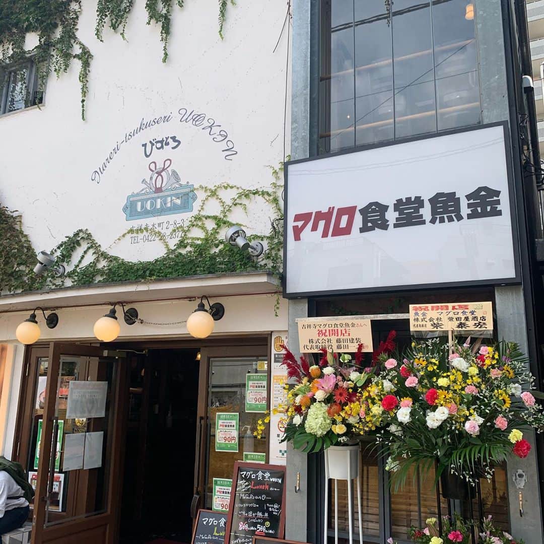 魚金さんのインスタグラム写真 - (魚金Instagram)「ビストロ魚金吉祥寺店は 本日よりマグロ食堂魚金として リニューアルオープンいたします 鮪を楽しめる様々な料理に 生のクラフトビールも12tap設置  オープン記念の90円ビールも 本日の17時より1週間実施いたします ランチは500円ランチご用意  是非新しくなった マグロ食堂魚金遊びにいらしてください  #魚金#クラフトビール好き #吉祥寺グルメ #吉祥寺クラフトビール #マグロ#中央線グルメ #中央線クラフトビール #魚すきな人と繋がりたい #吉祥寺リニューアルオープン #吉祥寺ランチ」10月3日 11時21分 - uokin_koho