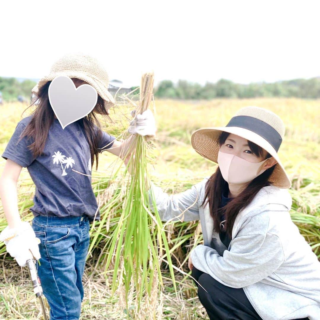 大堀恵さんのインスタグラム写真 - (大堀恵Instagram)「稲の収穫体験をさせていただきました🌾 お米は、おいしいよね🍚 #稲　#米」10月3日 11時26分 - ohorimegumi