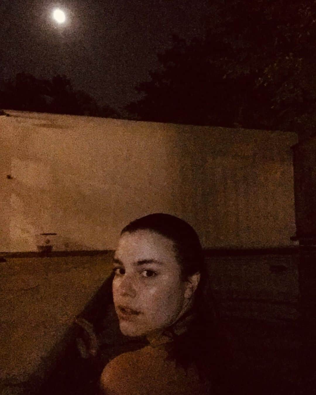 Alice Wegmannのインスタグラム