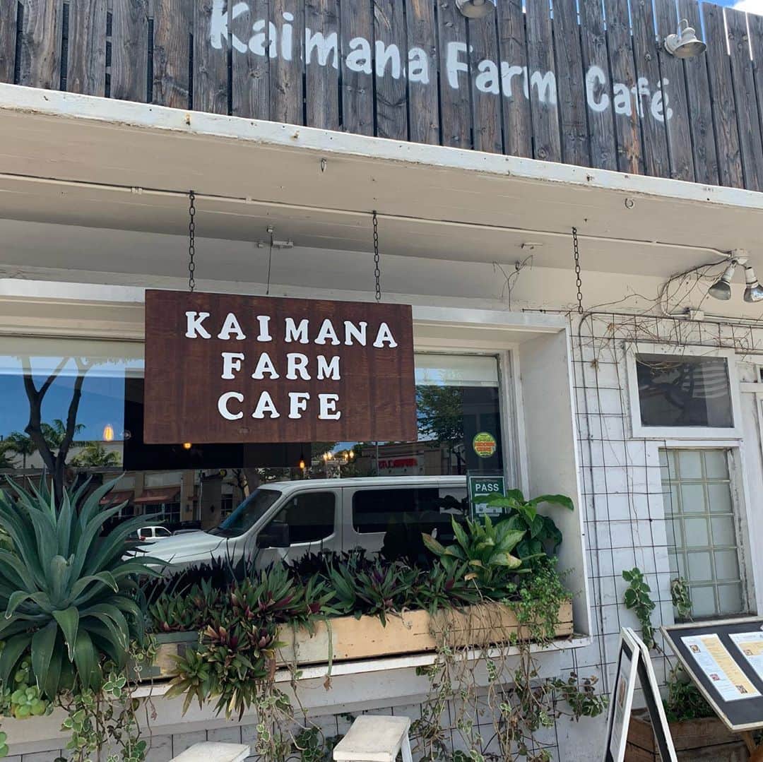 飯島寛子さんのインスタグラム写真 - (飯島寛子Instagram)「今日のランチは @kaimanafarmcafe のパワー弁当！ やっぱりヘルシーで美味しい😊 #kaimanafarmcafe #ハワイ暮らし」10月3日 11時42分 - hirokoiijima