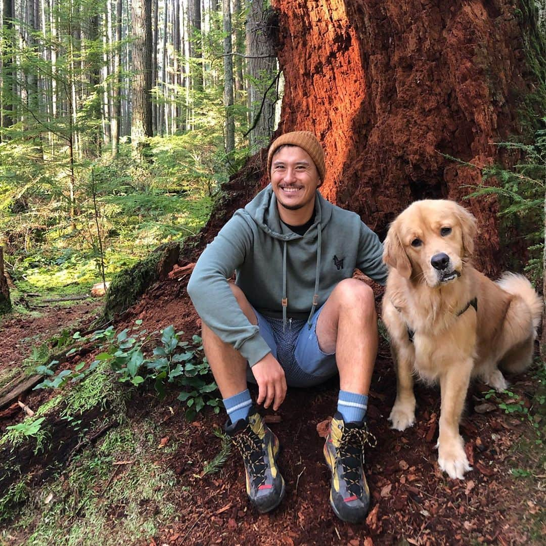 パトリック・チャンのインスタグラム：「There's no denying it, climate change has intensified wildfires in the western parts of Canada & the U.S.  I've been so fortunate to have traveled across our beautiful country doing what I love and I feel a responsibility to do my part in preserving this beautiful place we call home.   As a consumer, the decisions we make and the businesses we choose to support make an impact on the planet.   @tentree pledges to plant 10 trees for every product sold and I'm happy to help them get to a billion trees planted around the world by 2030.  To learn more check out: @kissthegroundmovie  (fun fact: Plant photosynthesis has the remarkable ability to capture atmospheric CO2 , release the oxygen back into the atmosphere, and convert the carbon into sugars. The plant uses some of this to produce above ground growth such as leaves. Meanwhile, as much as 40 percent of the captured CO2 is released through the plant’s roots to feed soil microbes, which in turn assist the plant in acquiring nutrients.)  #environment #sustainability #climatechange #savetheplanet」