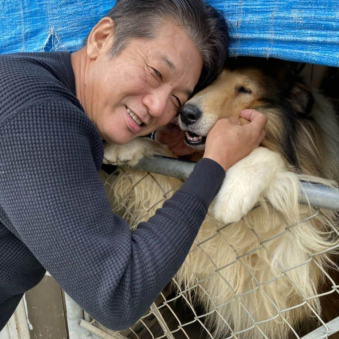 高橋慶彦さんのインスタグラム写真 - (高橋慶彦Instagram)「福島にて知人の犬です､メッチヤクチヤ可愛いです」10月3日 12時02分 - yoshihiko_2