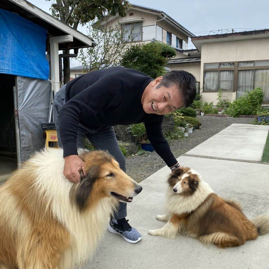 高橋慶彦さんのインスタグラム写真 - (高橋慶彦Instagram)「福島にて知人の犬です､メッチヤクチヤ可愛いです」10月3日 12時02分 - yoshihiko_2