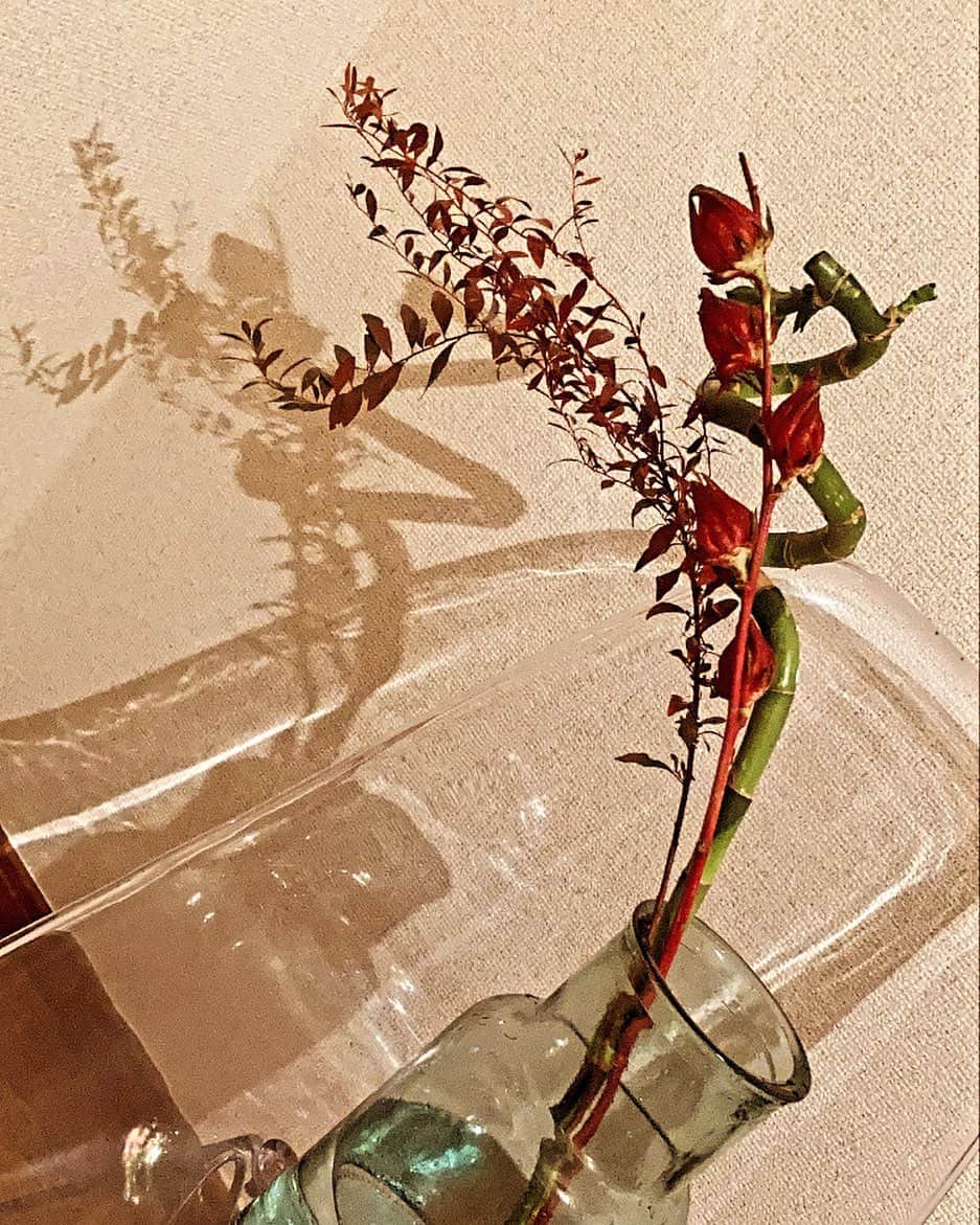 大原海輝のインスタグラム：「🍁🍁🍁」