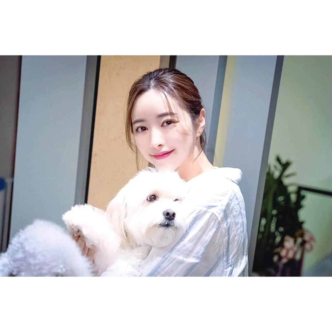 ホン・スアさんのインスタグラム写真 - (ホン・スアInstagram)「딸래미  우주최고 겁쟁이 수 🐶💕  #포인핸드 #표지모델   유기견 입양할때는  포인핸드를 통해서 입양 하세요😇🙏🏻  잃어버리거나, 길잃은 아이들을 보시면 포인핸드 어플로 찾아주세요   사지 않고 입양하는 문화를 만드는  ‘포인핸드 매거진’   @pawinhand_official  @park_3815   #포인핸드매거진 #아이유동물메디컬센터 #유기견입양  #유기견입양합시다  #사지말고입양하세요  #유기견  #끝까지책임져주세요  #유기견보호소 #믹스견  #반려견  #버리지말고끝까지책임져주세요  #아이유동물메디컬센터  #위례동물병원  #수술전문동물병원  #박성수원장님  #믹스견은사랑입니다」10月3日 17時36分 - sooah.hong
