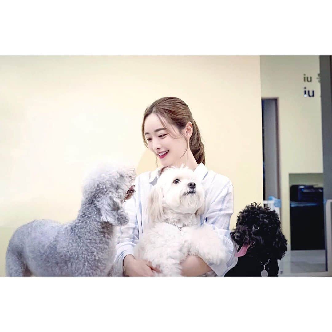 ホン・スアさんのインスタグラム写真 - (ホン・スアInstagram)「딸래미  우주최고 겁쟁이 수 🐶💕  #포인핸드 #표지모델   유기견 입양할때는  포인핸드를 통해서 입양 하세요😇🙏🏻  잃어버리거나, 길잃은 아이들을 보시면 포인핸드 어플로 찾아주세요   사지 않고 입양하는 문화를 만드는  ‘포인핸드 매거진’   @pawinhand_official  @park_3815   #포인핸드매거진 #아이유동물메디컬센터 #유기견입양  #유기견입양합시다  #사지말고입양하세요  #유기견  #끝까지책임져주세요  #유기견보호소 #믹스견  #반려견  #버리지말고끝까지책임져주세요  #아이유동물메디컬센터  #위례동물병원  #수술전문동물병원  #박성수원장님  #믹스견은사랑입니다」10月3日 17時36分 - sooah.hong