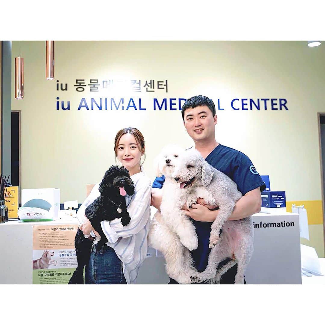 ホン・スアさんのインスタグラム写真 - (ホン・スアInstagram)「딸래미  우주최고 겁쟁이 수 🐶💕  #포인핸드 #표지모델   유기견 입양할때는  포인핸드를 통해서 입양 하세요😇🙏🏻  잃어버리거나, 길잃은 아이들을 보시면 포인핸드 어플로 찾아주세요   사지 않고 입양하는 문화를 만드는  ‘포인핸드 매거진’   @pawinhand_official  @park_3815   #포인핸드매거진 #아이유동물메디컬센터 #유기견입양  #유기견입양합시다  #사지말고입양하세요  #유기견  #끝까지책임져주세요  #유기견보호소 #믹스견  #반려견  #버리지말고끝까지책임져주세요  #아이유동물메디컬센터  #위례동물병원  #수술전문동물병원  #박성수원장님  #믹스견은사랑입니다」10月3日 17時36分 - sooah.hong
