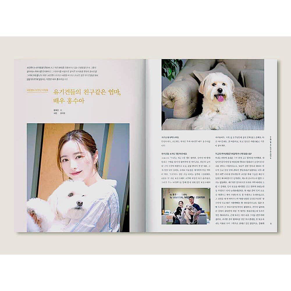 ホン・スアさんのインスタグラム写真 - (ホン・スアInstagram)「딸래미  우주최고 겁쟁이 수 🐶💕  #포인핸드 #표지모델   유기견 입양할때는  포인핸드를 통해서 입양 하세요😇🙏🏻  잃어버리거나, 길잃은 아이들을 보시면 포인핸드 어플로 찾아주세요   사지 않고 입양하는 문화를 만드는  ‘포인핸드 매거진’   @pawinhand_official  @park_3815   #포인핸드매거진 #아이유동물메디컬센터 #유기견입양  #유기견입양합시다  #사지말고입양하세요  #유기견  #끝까지책임져주세요  #유기견보호소 #믹스견  #반려견  #버리지말고끝까지책임져주세요  #아이유동물메디컬센터  #위례동물병원  #수술전문동물병원  #박성수원장님  #믹스견은사랑입니다」10月3日 17時36分 - sooah.hong