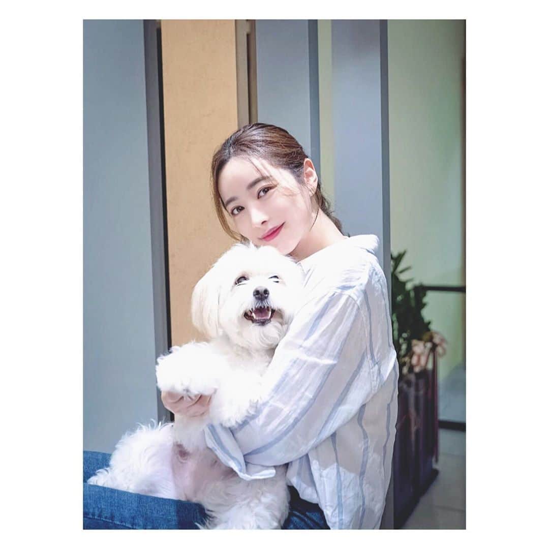 ホン・スアさんのインスタグラム写真 - (ホン・スアInstagram)「딸래미  우주최고 겁쟁이 수 🐶💕  #포인핸드 #표지모델   유기견 입양할때는  포인핸드를 통해서 입양 하세요😇🙏🏻  잃어버리거나, 길잃은 아이들을 보시면 포인핸드 어플로 찾아주세요   사지 않고 입양하는 문화를 만드는  ‘포인핸드 매거진’   @pawinhand_official  @park_3815   #포인핸드매거진 #아이유동물메디컬센터 #유기견입양  #유기견입양합시다  #사지말고입양하세요  #유기견  #끝까지책임져주세요  #유기견보호소 #믹스견  #반려견  #버리지말고끝까지책임져주세요  #아이유동물메디컬센터  #위례동물병원  #수술전문동물병원  #박성수원장님  #믹스견은사랑입니다」10月3日 17時36分 - sooah.hong