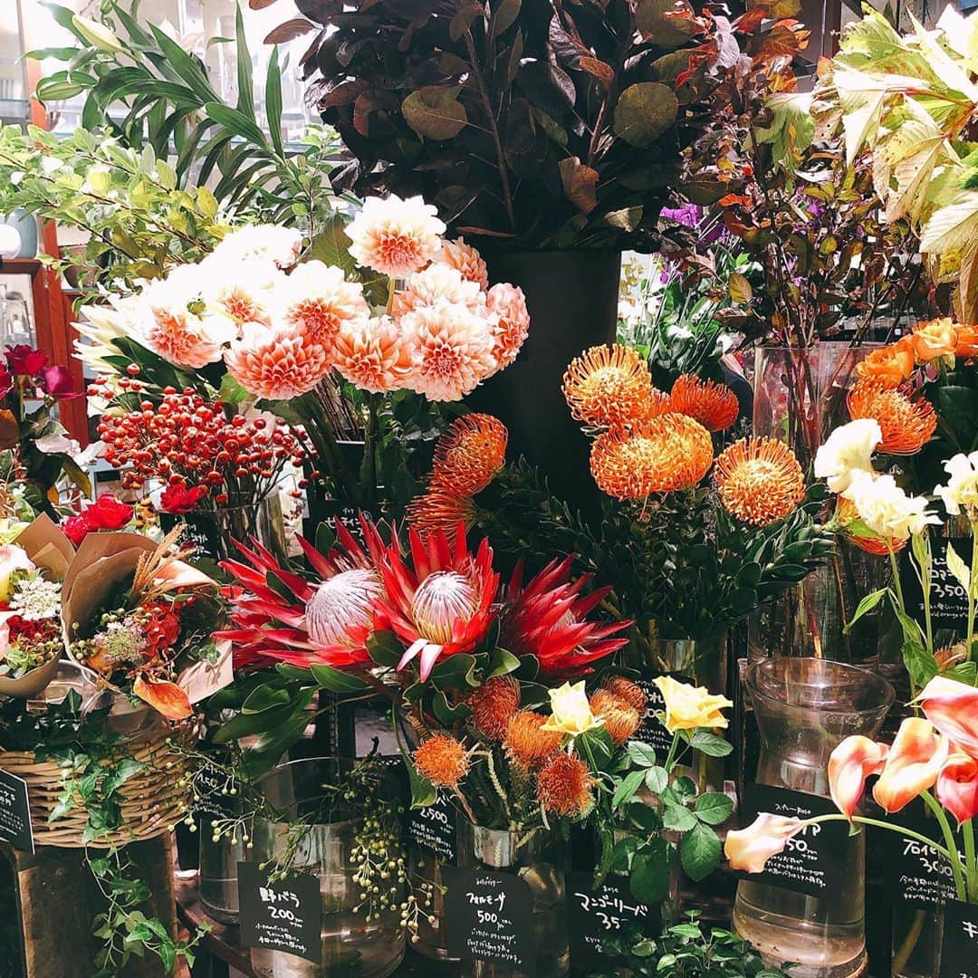 のインスタグラム：「Autumncolor🍁  #flower #flowers  #autumn」
