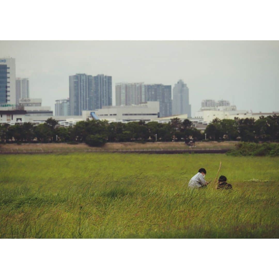 小橋 みなみのインスタグラム：「#葛西臨海公園 #kasairinkaipark  6.20  そろそろ公園に行きたいですね〜 今年は紅葉見に行けるかなぁ‥」