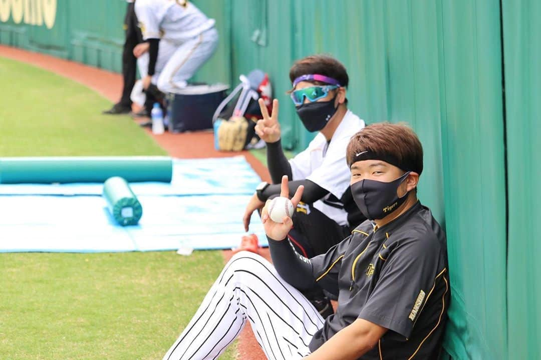 阪神タイガースのインスタグラム