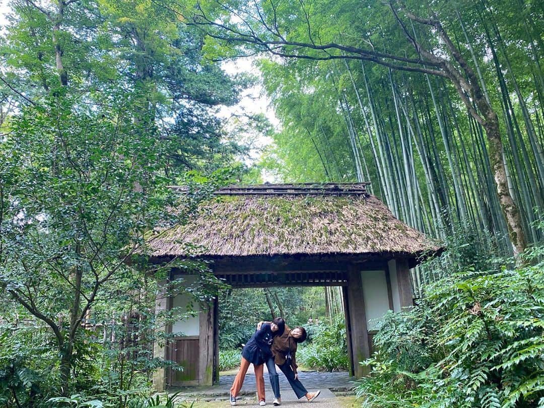 トリイクニコのインスタグラム：「@torayakobo の入り口🌳 🎋🎋🎋 竹藪がすごい👀！！  2枚目▶︎キョーコの圧ww 3枚目▶︎工房の前  そして @gurorina のお店セレクトさすがだわ👀👏🏻  #🐯 #静岡」
