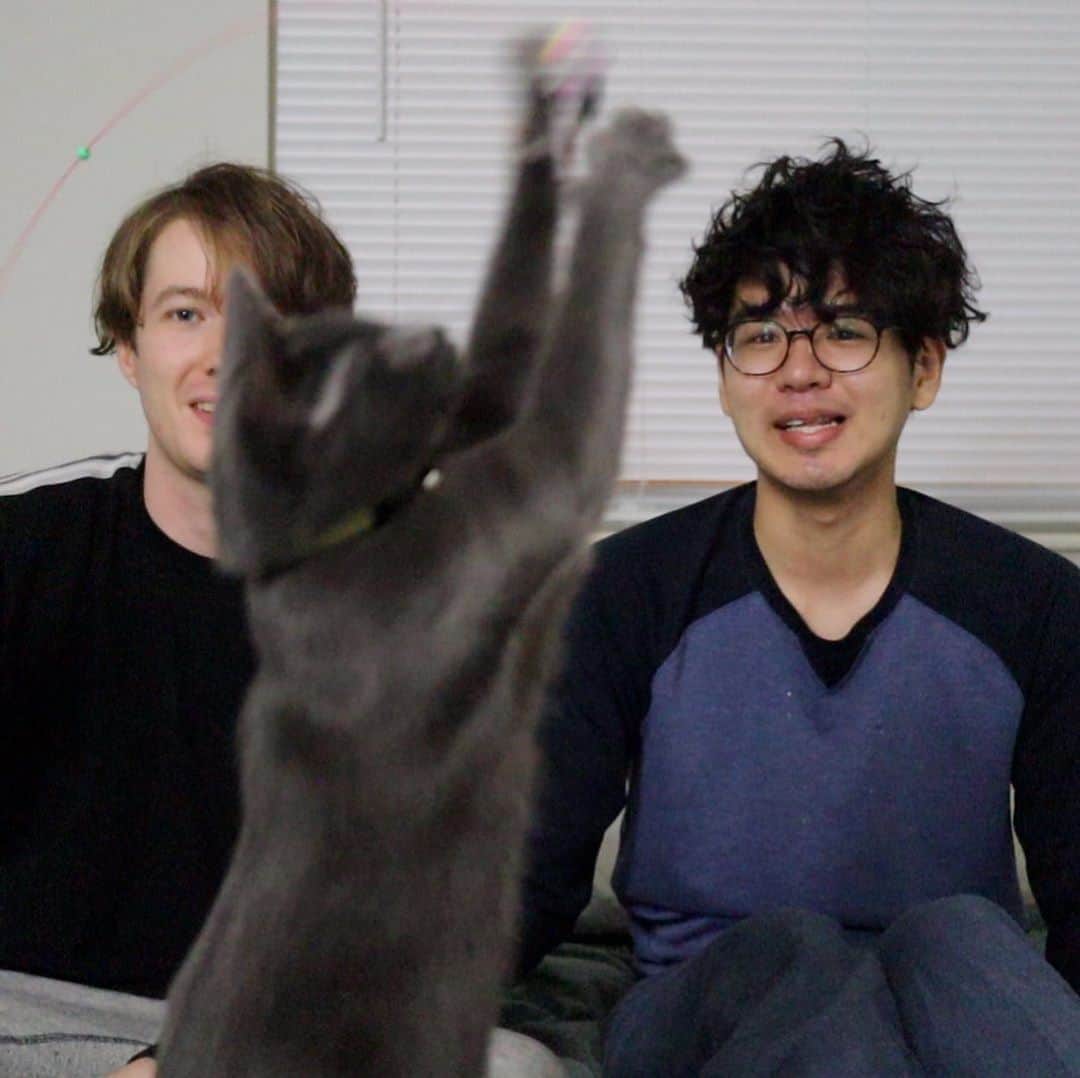 のインスタグラム：「にゃんにゃんにゃん 新しい動画公開してます♪ お時間のあるときに是非！！  #Youtube #オハイオ #コロンバス #Ohio #columbus  #LGBTQ #gay #seigobren #gaycouple #Japan #Japanese #Internationalcouple #husbandandhusband #husbands #ゲイ #ゲイカップル #同性婚 #国際結婚 #アメリカ #アメリカ生活 #夫夫 #seigoandbren #海外在住  #Pride」