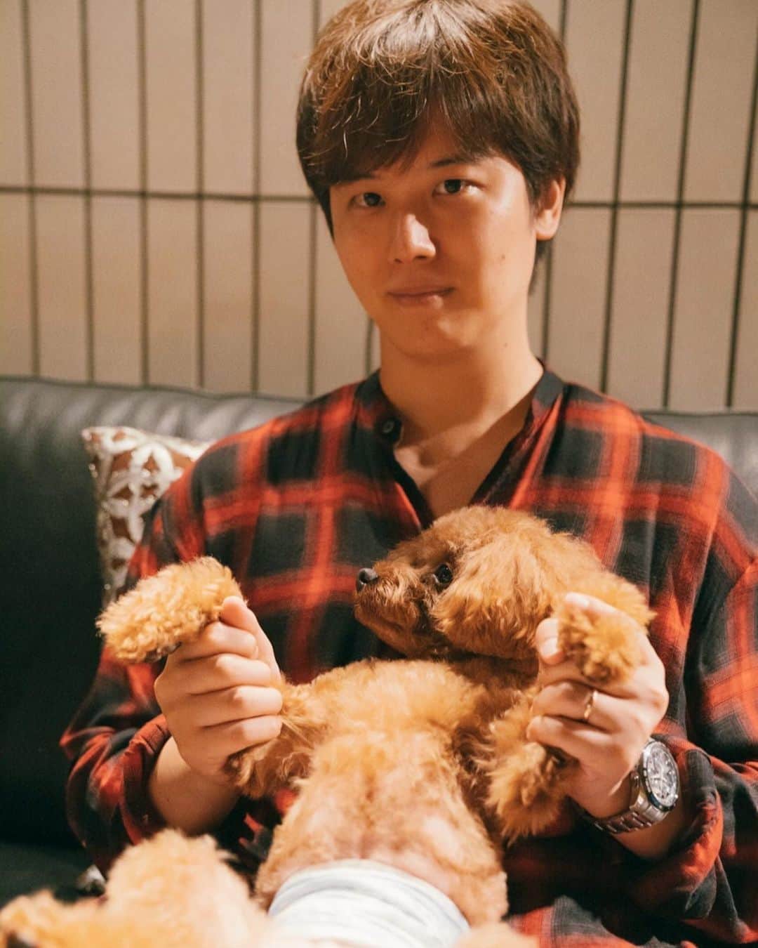 三浦祐太朗のインスタグラム：「Photo by Takahiro Miura @takahiromiura_official . . . . #dog #dogbreed #dogstagram #犬 #犬のいる暮らし #犬好きな人と繋がりたい #犬のいる生活 #犬バカ部 #わんこ #dogs_of_instagram #🐶 #🐕 #dogs #instadog #いぬ #ワンコ #petstagram #doglover #doglovers #toypoodle #toypoodlelove #トイプードル #トイプードル部 #三浦祐太朗」