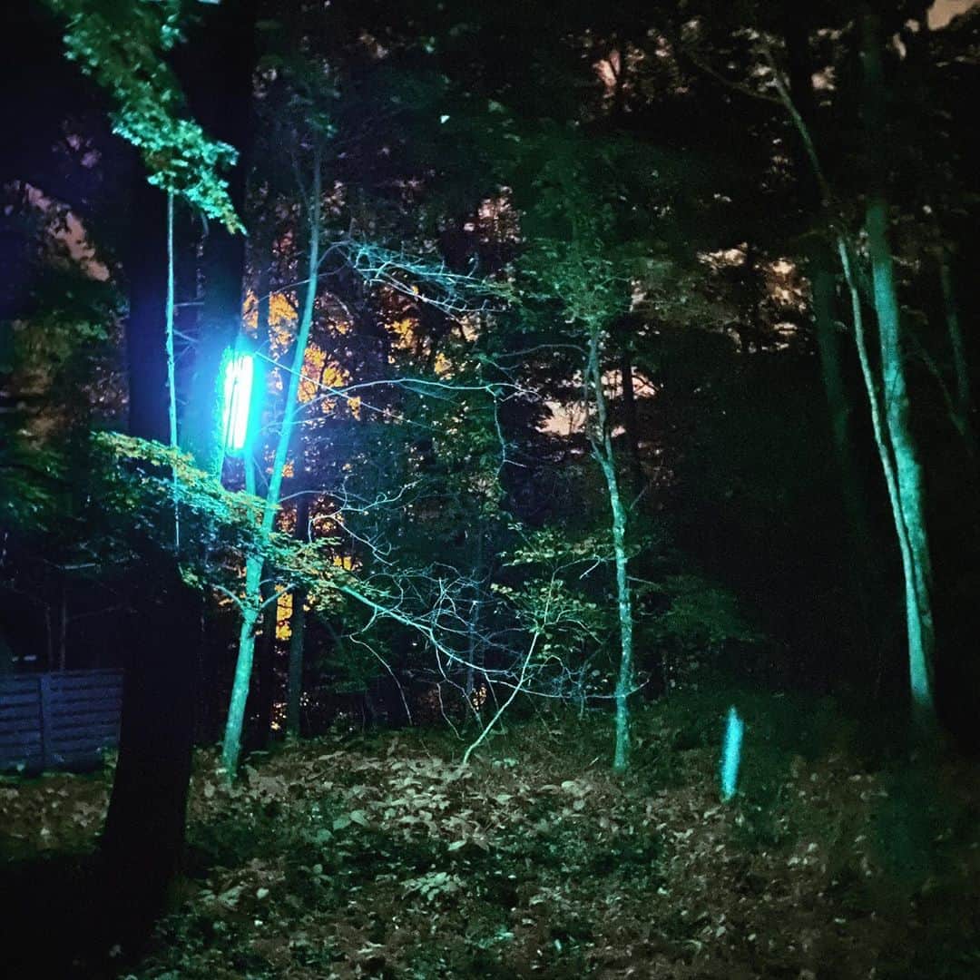五箇公貴のインスタグラム：「これが夜か！」