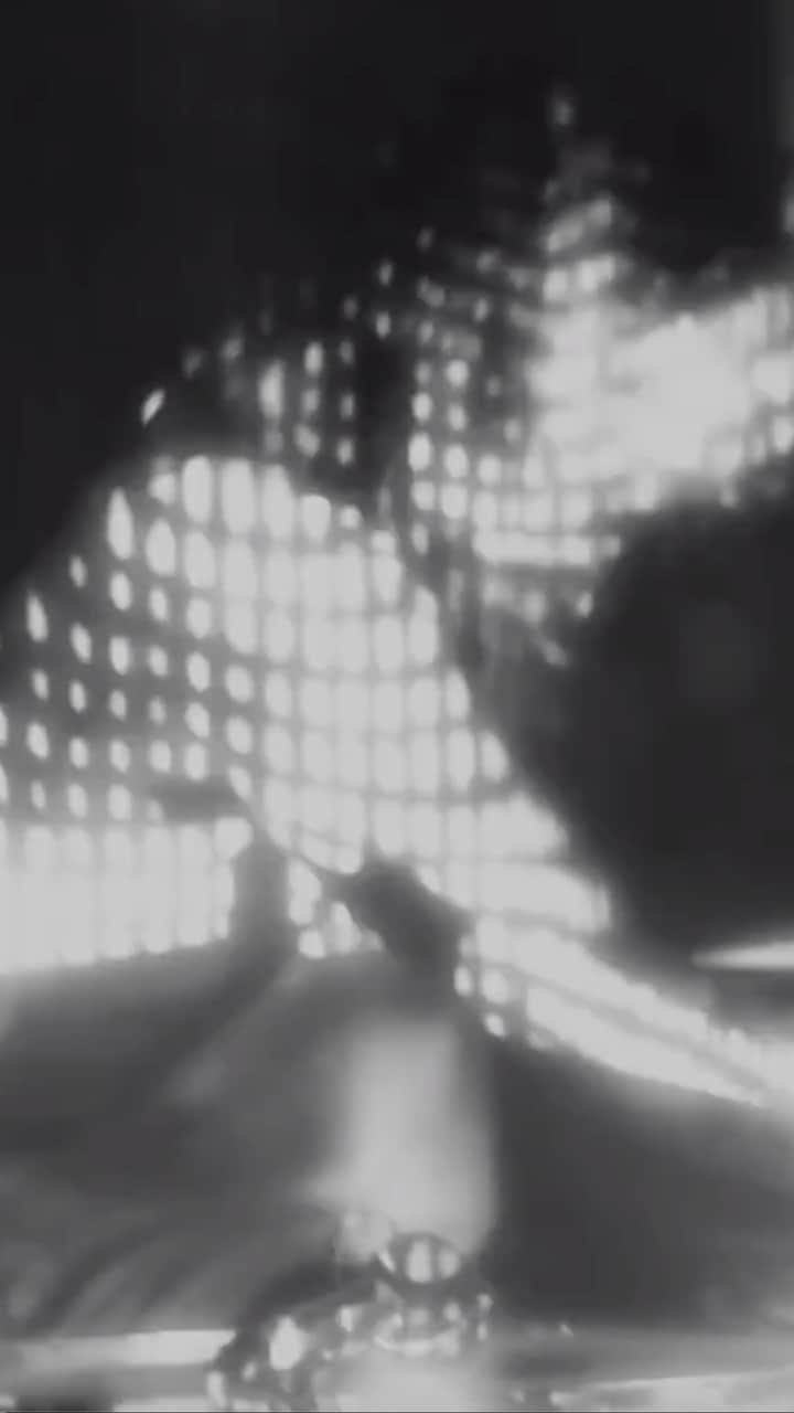 A Place to Bury Strangersのインスタグラム：「And on the 2nd day of Exploding Head Birthday week:  Here’s a live video of Deadbeat from Bucharest, Romania on November 13, 2015 at @clubcontrol  The drum break by @robigonz is so sick!  “What, what the fuck, don't play with my heart I said what, what the fuck, don't play with my heart, who am I?”  Live in Bucharest / Control Club / 13.11.2015 recorded & mixed : Marius Costache /  http://www.studio148.ro  #deadbeat #explodnghead #eleventhbirthday #aptbs #aplacetoburystrangers #muterecords #bucharest #romania #controlclub」
