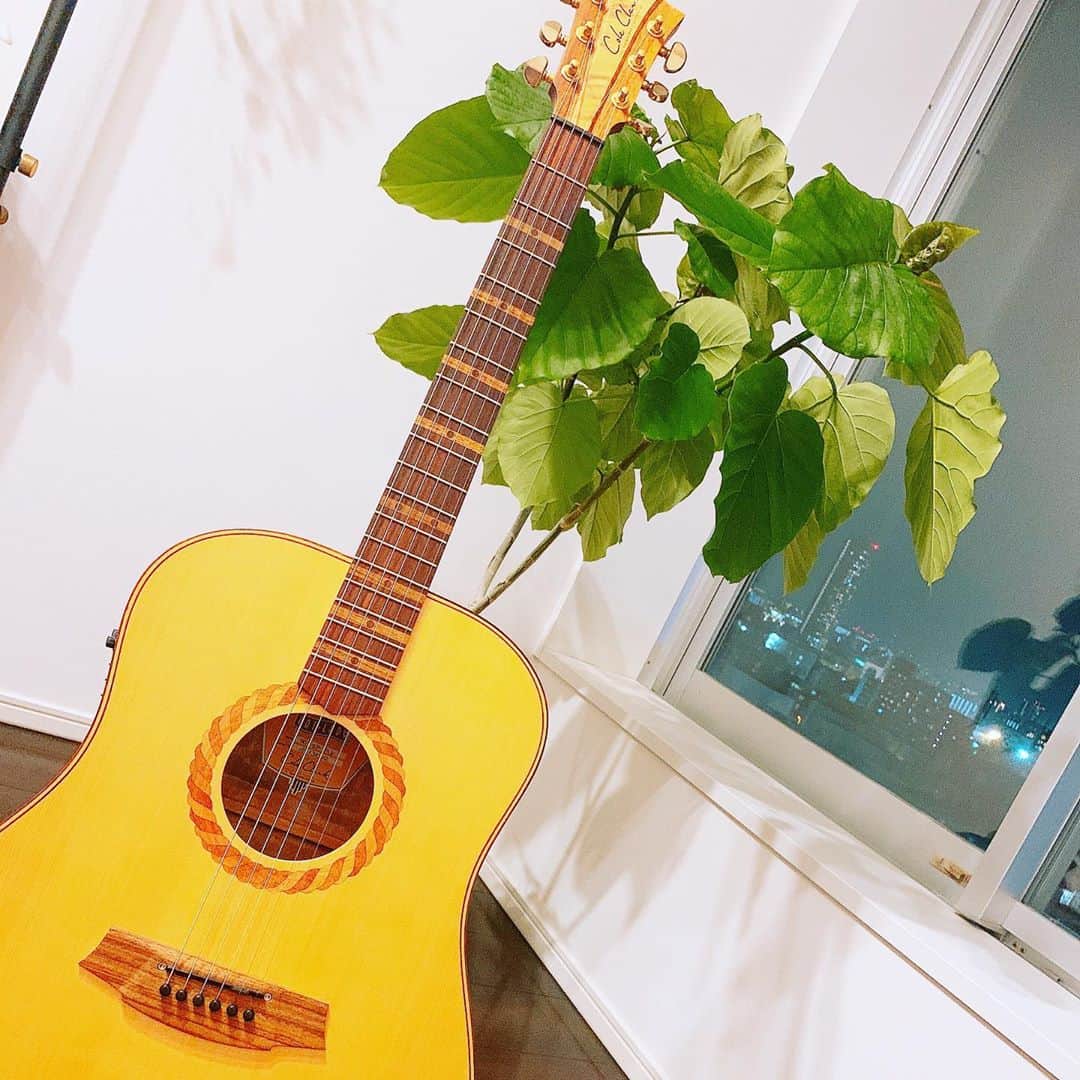 仁田宏和のインスタグラム：「我が家のアコギ  #観葉植物  #観葉植物のある暮らし  #acousticguitar  #coleclark」