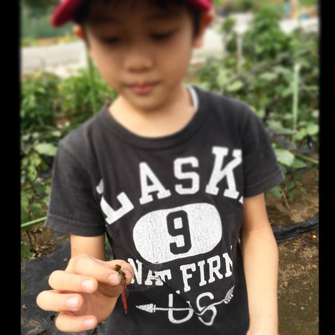 MONKYのグルメインスタ