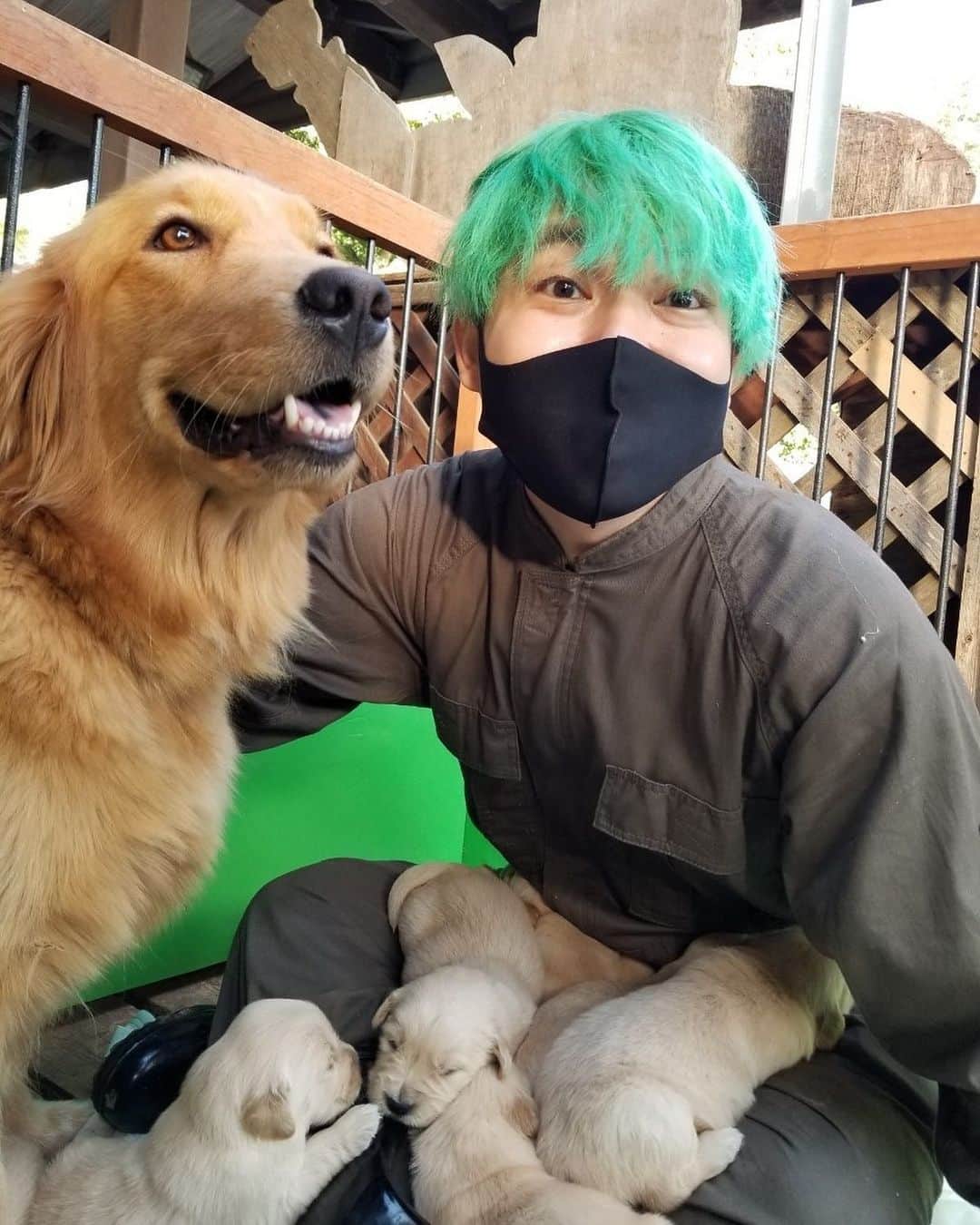 相馬トランジスタのインスタグラム：「またまた動物達と触れ合って来ました。 いろいろと大変だったけど、少しばかり癒されました。  #24時間動物生活in牧場 #こいぬ  #乞うご期待 #しかし編集が地獄」