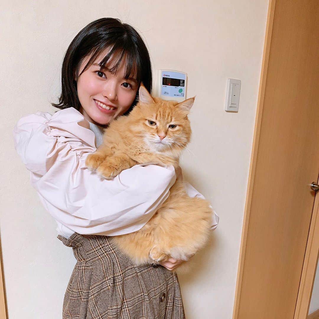 安藤千伽奈さんのインスタグラム写真 - (安藤千伽奈Instagram)「🐱﻿ ﻿ しーくんと📸﻿ 抱っこしたらまた重くなった気がした…﻿ でもそんなシキナも可愛くて好き🥺💗﻿ ﻿ #猫 #🐱」10月3日 19時46分 - ando_chikana_ngt48