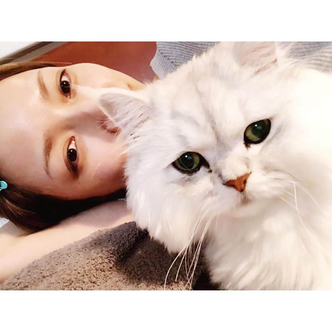 後藤真希さんのインスタグラム写真 - (後藤真希Instagram)「オウキくんの心の声。 ちゅ〜るが大好きすぎてパリパリをあげると…  『ちぇ〜、パリパリしたやつか…ワィはちゅ〜るちゅ〜るチャオちゅ〜るがえぇねん！！』ってなっている感じで選り好みするんです。  #チャオちゅ〜る #好みのおやつ #しらけた顔でパリパリ食べる猫 #心の声再現 #アプリで遊んでみた #ペットの気持ち #10月9日なにやらギルドチャンネルで発表します #オウキチャンネルではNiziU踊ってみたよ #みてねー」10月3日 19時54分 - goto_maki923