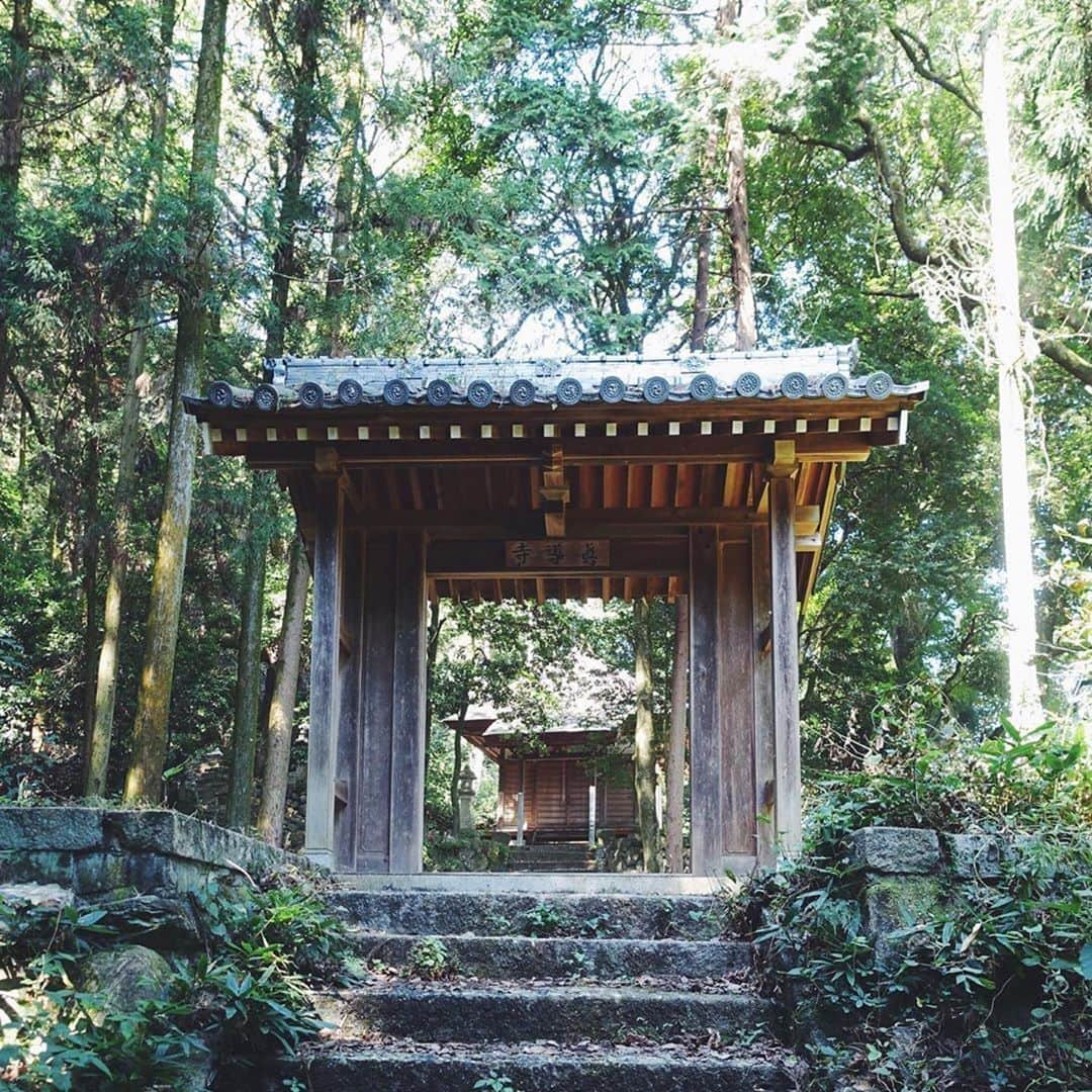 西条市さんのインスタグラム写真 - (西条市Instagram)「【LOVESAIJOじかん】﻿ ﻿ 愛媛県東予地方局のアカウントが、﻿ ﻿ 東予の歴史文化を紹介☺️⛩🏯👘﻿ ﻿ ﻿ Repost @toyorekisibunka_﻿ ・・・﻿ 西条市　眞導寺 ﻿  ﻿ 詳しいレポートはFacebookにて ﻿ （プロフィールのリンクからどうぞ） ﻿  ﻿ #写真の中で　#東予に行こう　#愛媛　#東予　#西条市　#lovesaijo　#眞導寺　#薬師堂　#薬師如来　#伊曽乃神社　#神宮寺　#東予の魅力　#愛東予　#歴史文化　#フォト旅　#フォトジェニック　#ehime　#toyo　#sunsunmemory　#lovetoyo　#saijo﻿」10月3日 20時07分 - lovesaijo